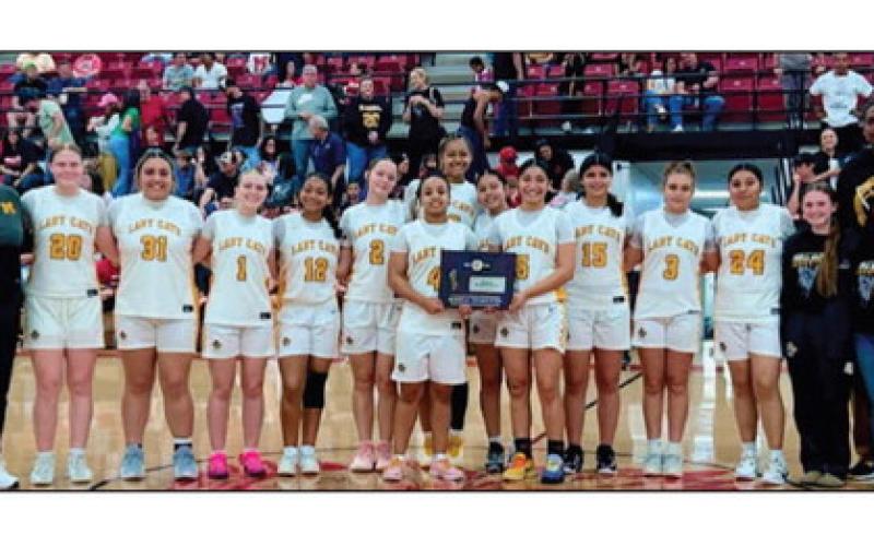 The Lady Wildcats basketball team snagged the 4A reigional consolation crown. Courtesy photo