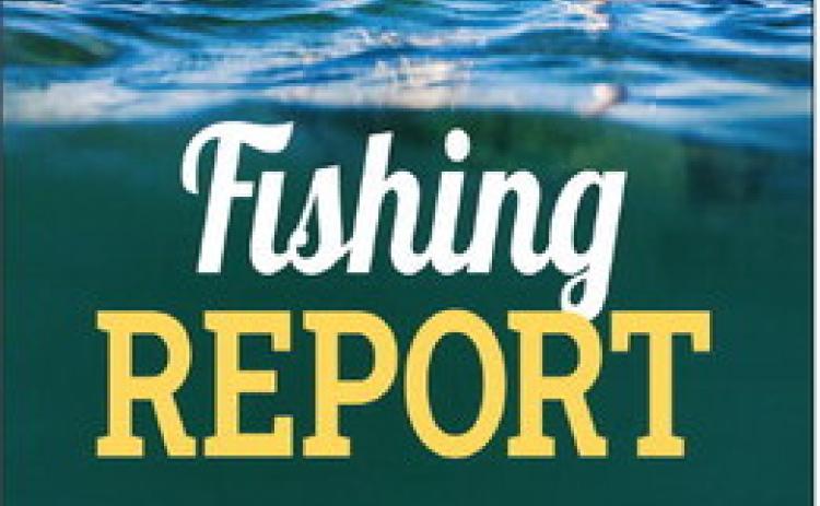 Fishing report