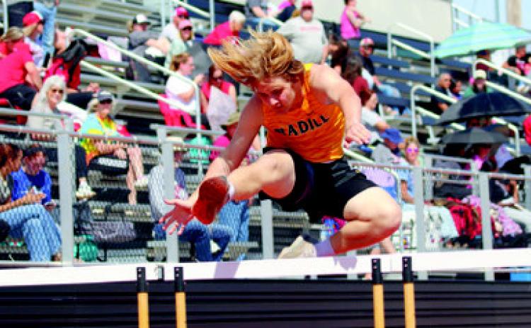 Vincent Aquaviva flies over the hurdles at the track meet. Courtesy photo