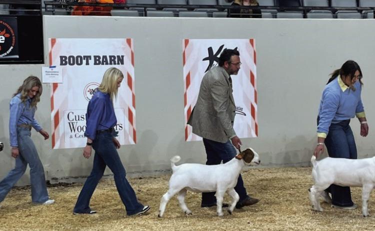 Cantrell and Goff shows goat at the